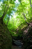 A Holdvilág-árok - The Moonlight Gorge
