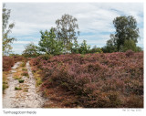 De Teut en Tenhaagdoornheide