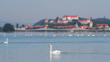 lake_ptuj_ptujsko_jezero