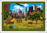 photoshop_pieces_2015_2016