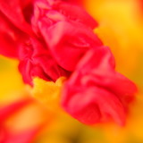 2020_0507_17101000.jpg
