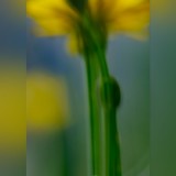 quicksquarenew_20206212501767.jpg