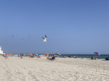 Beach at Cape May