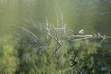 Great Bay National Wildlife Refuge, Portsmouth