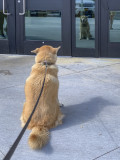 Waiting for Daddy