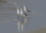 Triplets