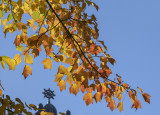 Golden light