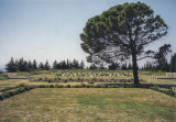 World War I cemetery at Gallipoli