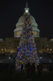 Congressional Christmas Tree at night
