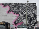 Zebras galore