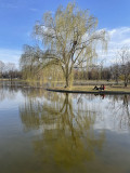 Spring is arriving at the gardens