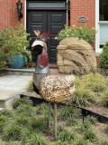 The thoughtful rooster