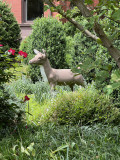 The famous deer at the Deer House
