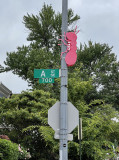 A (Street) is for ant