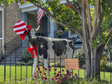 Even Gypsy gets dressed up for the Fourth