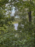 The hidden Anacostia River