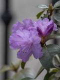 Spring has sprung