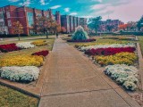 Roaming Okie