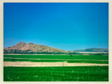 The Rural Life