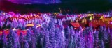 Journey West: Some 2019 Travels