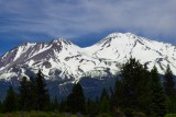 Mt. Shasta