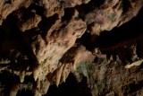 Spring Break visit to Redding and Lake Shasta Caverns