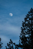 The moon over Yosemite Valley