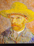 The Van Gogh Immersion Experience