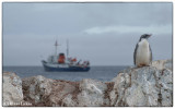 Antarctica 06