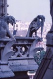 The gargoyles. 