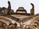 Bourges: Saint-Étienne cathedral, the gargoyles.