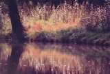 Le canal du Midi, near Michel's house (photo from slide; circa 1987-1997).