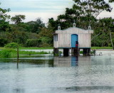 In the river; at this area and this year season, the river floods the banks.