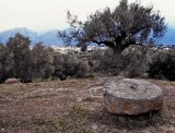 Greece; Sparta; we looked for Spartan ruins, but there is only a little trace of it. 