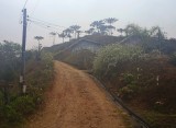 House near Rio Bonito.