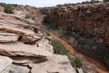  Silver Creek Canyon 