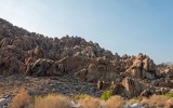 Lone Pine