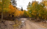 Lobdell Lake Rd