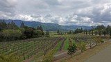 Calistoga
