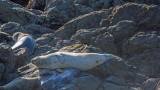  Shelter Cove 