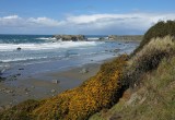  Bandon 