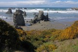  Bandon 