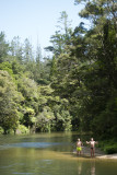 Tairua River swim