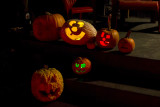 colorful lights inside the pumpkins