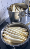 Spargel