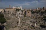 From Palatine Hill...