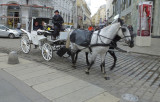  Horse and Carriage near Hofburg Palace