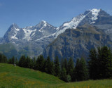Eiger Monch and Jungfrau from Allmendhubel
