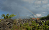 Rainbow over Mount Pico from Vineyard