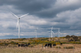 Musselroe Wind Farm, Cape Portland, Tasmania